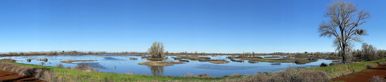 panoramic view of wetlands and Gray Lodge Ecological Reserve