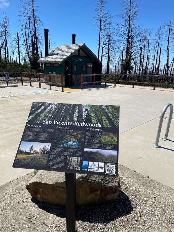 san vicente redwood information