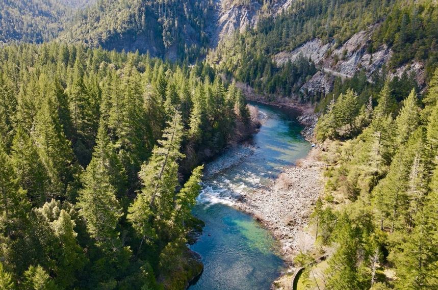 river running through trees
