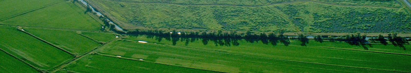 aerial view of valley farmlands